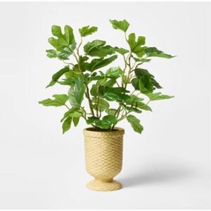 Artificial Fig Leaf Arrangement in Woven Pot - Threshold™ designed with Studio M